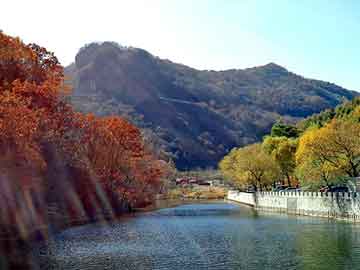 澳门天天好好免费资料，南山装饰公司